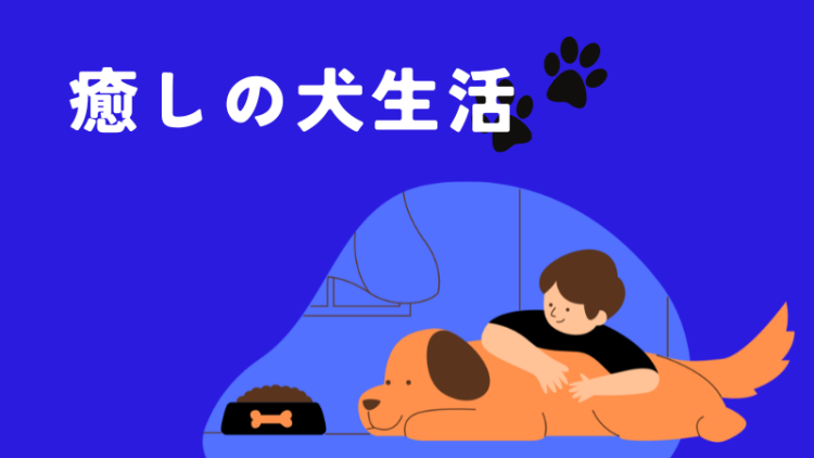 カワイイがいっぱい！ワンダーランド